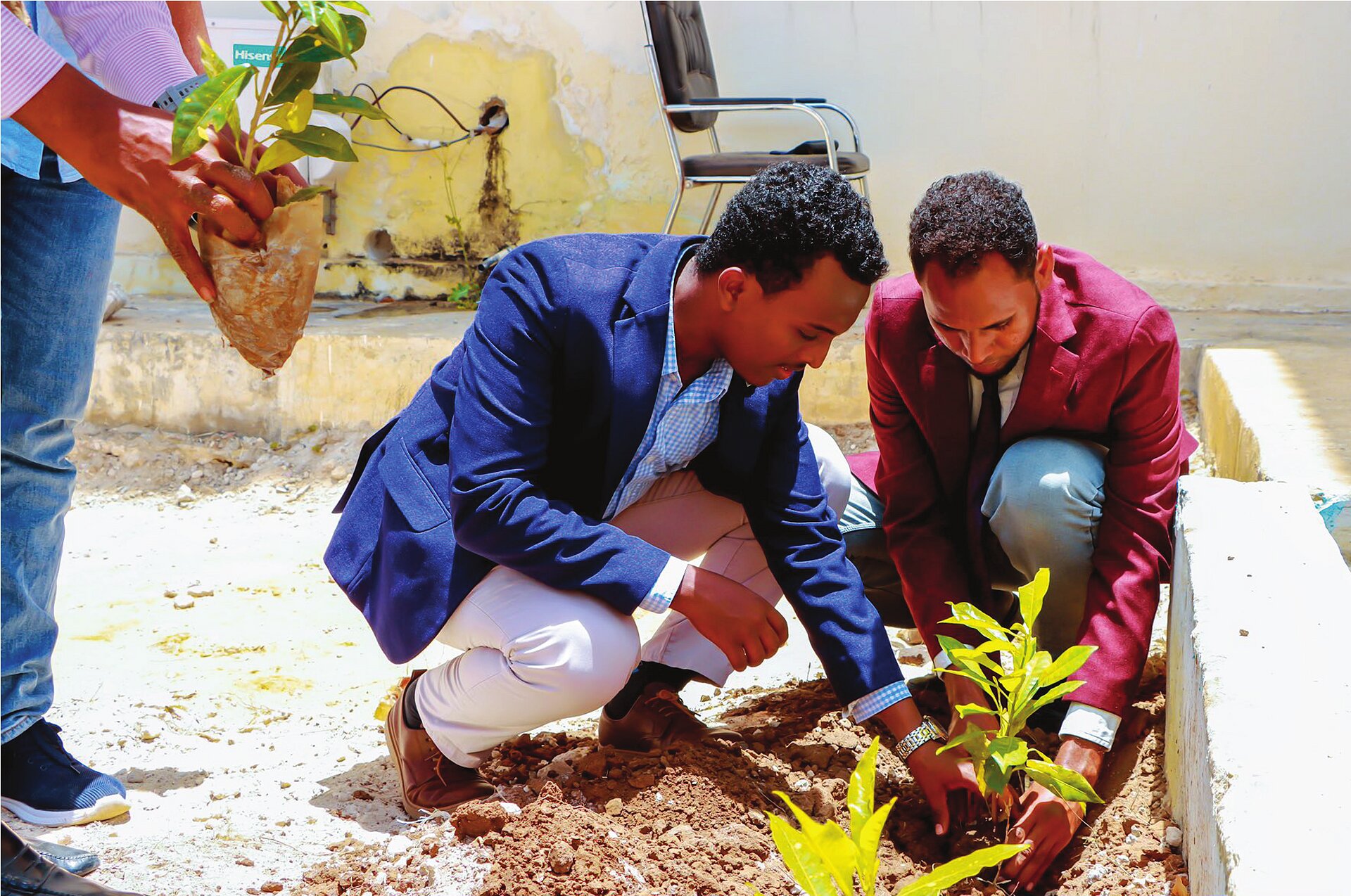 Tree Planting